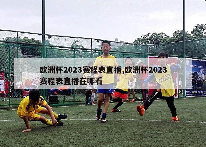 欧洲杯2023赛程表直播,欧洲杯2023赛程表直播在哪看